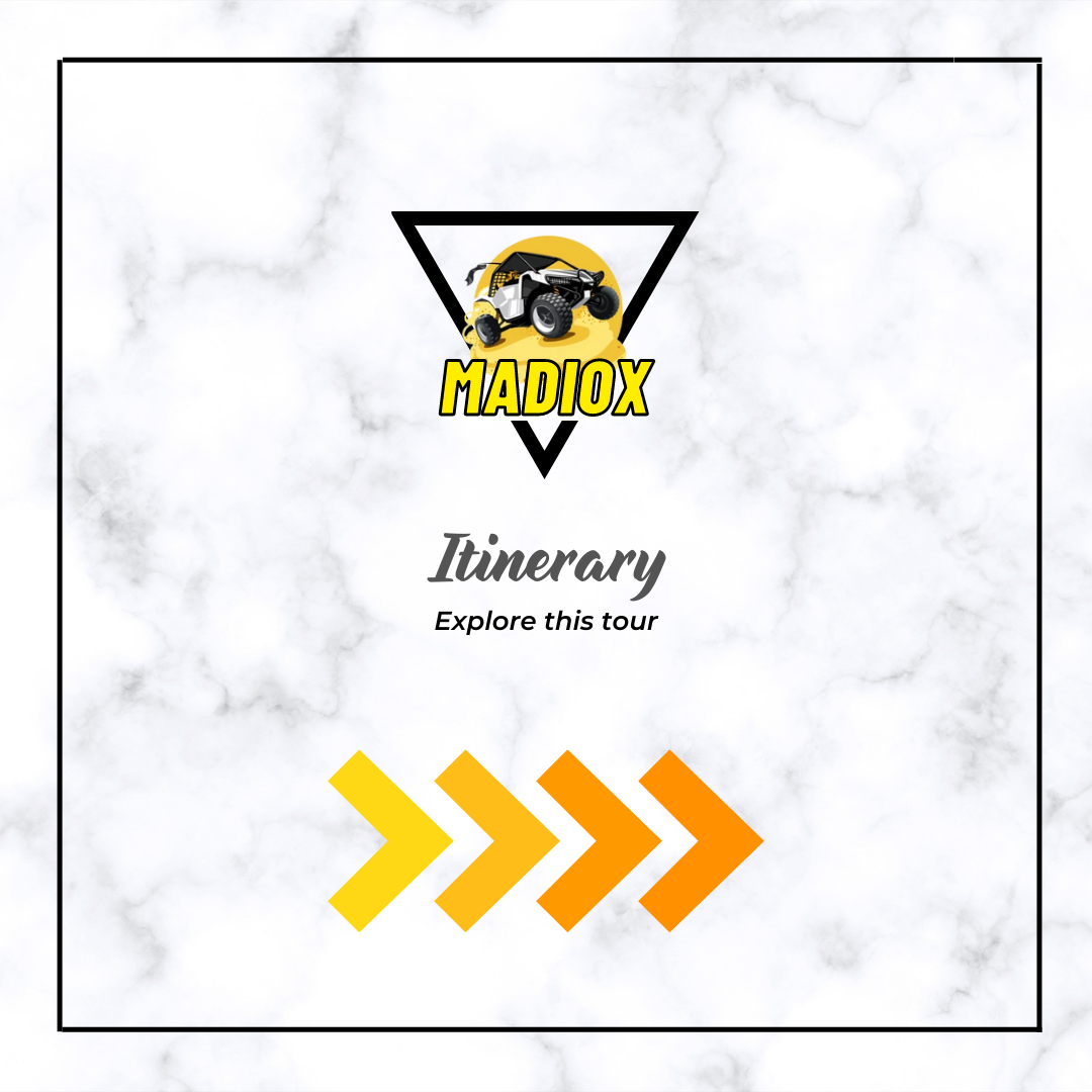 PRIVATE MORNING DESERT SAFARI EXPERIENCE