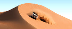 PRIVATE MORNING DESERT SAFARI EXPERIENCE