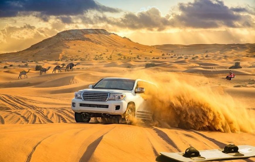 MORNING DESERT SAFARI EXPERIENCE