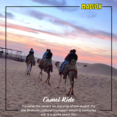 Full Day Family Tour