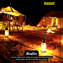 Full Day Family Tour