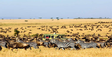 Tanzania Toura and Safari