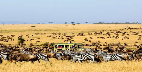 Tanzania Toura and Safari