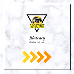 Desert Safari & Dune Buggy Tour