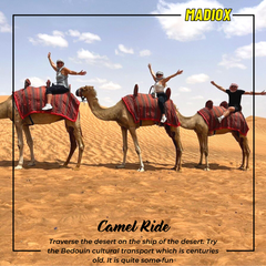 4 Seater Polaris Dune Buggy & Desert Safari Evening Tour