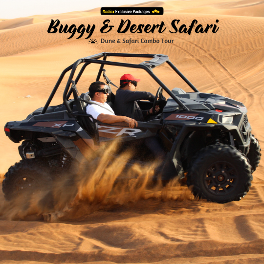 Polaris Dune Buggy Evening Tour