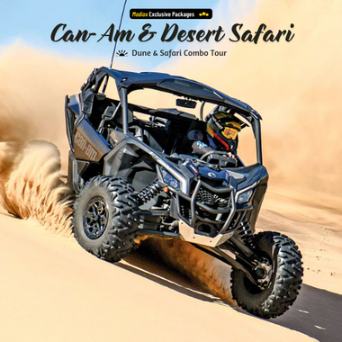 Desert  Buggy & Safari Evening Tour