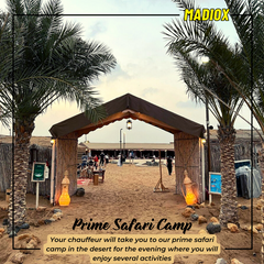 Desert Safari & Dune Buggy Tour