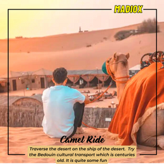 Desert Safari & Dune Buggy Tour