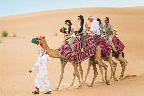 Camel Ride Experience in Dubai Desert